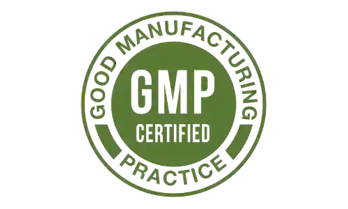 neurozoom gmp certified